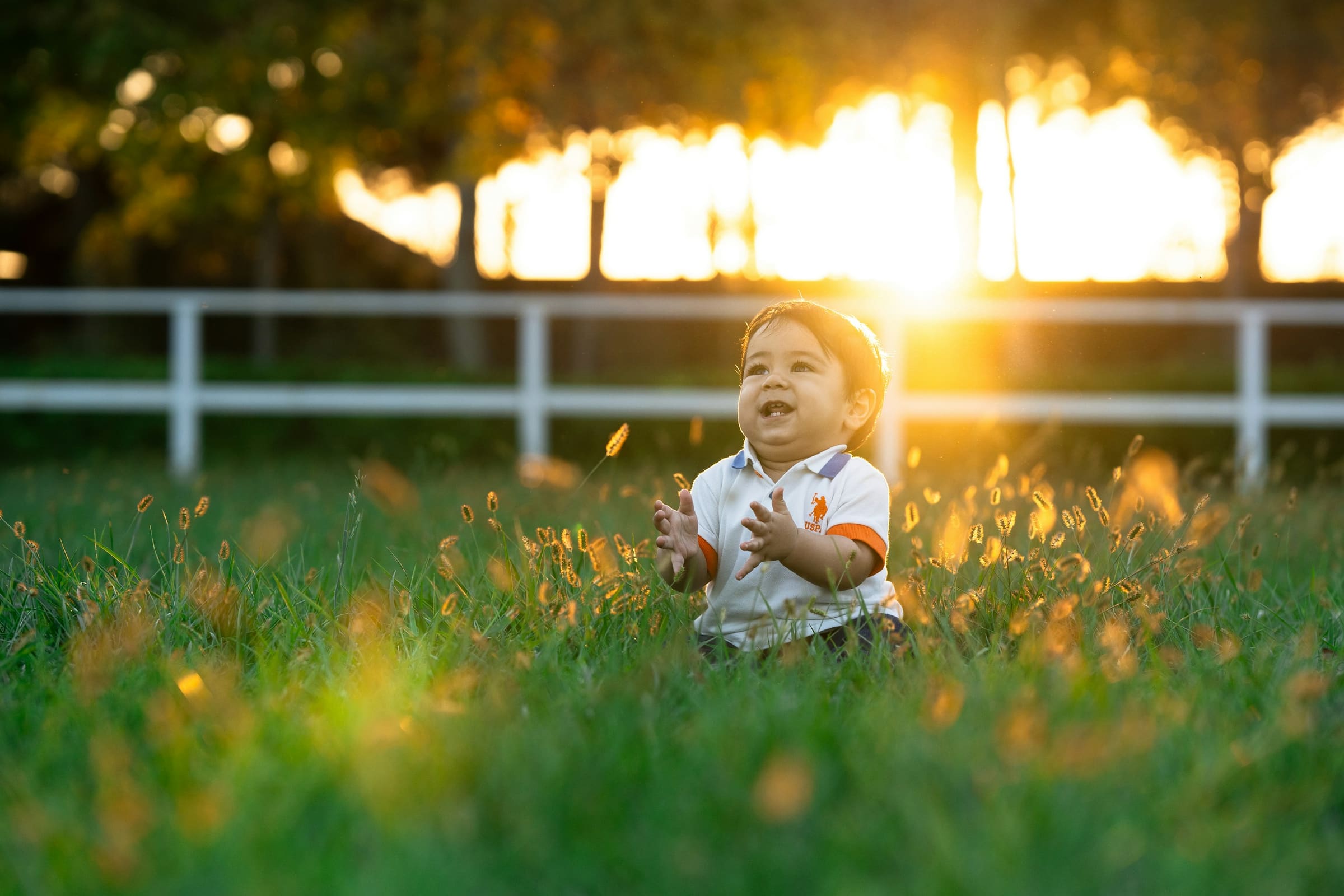 Toddler in white shirt playing in grass at sunset, with white fence and trees in background